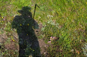 SelfportraitwithFlowers