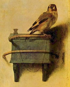 Goldfinch