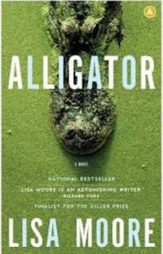 Alligator