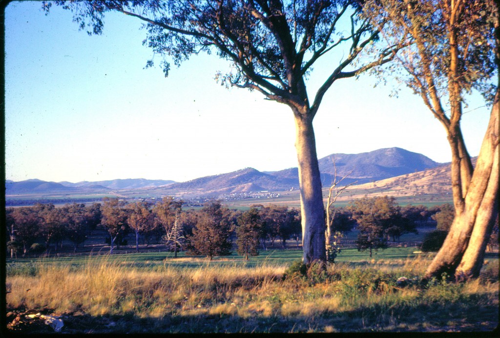 B_Photo - Across the valley (Photo credit Anne Quested)