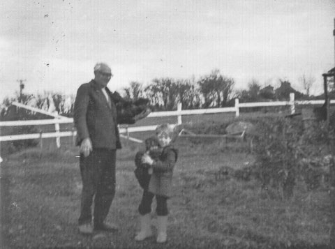 Author's grandfather and brother collecting turf