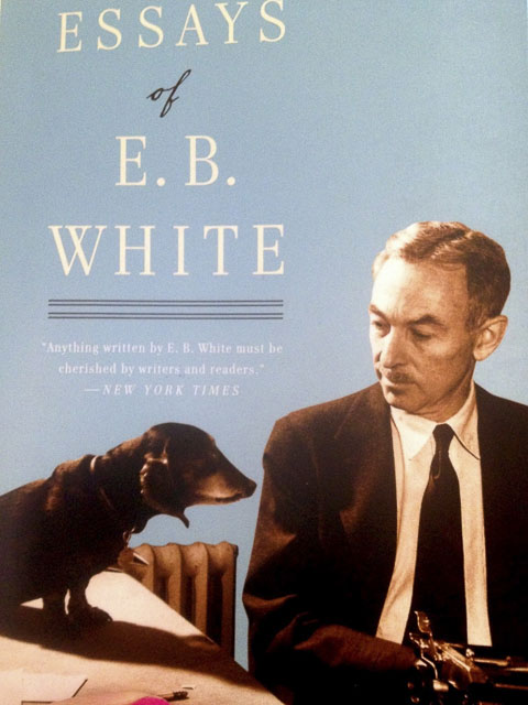 Essays of E.B. White cover image