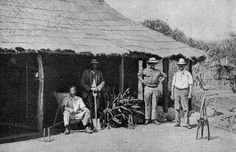 Details about   Native Workers Clear for Cotton Plantation Rhodesia S Africa Stereoview c1900 
